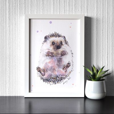 Baby Hedgehog - Art Print