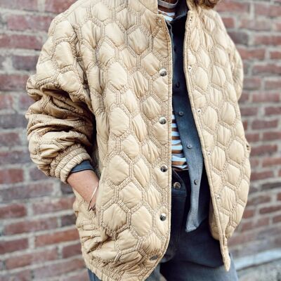 Le Bomber Zebra - camel