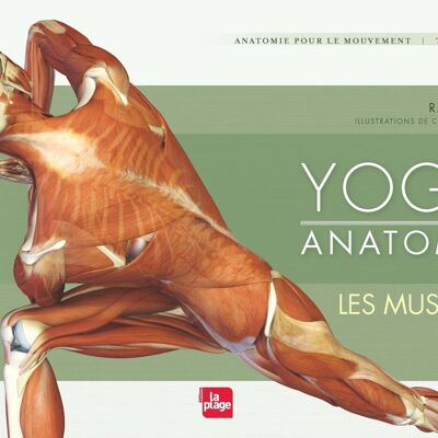 LIVRE YOGA - Yoga anatomie - Les muscles