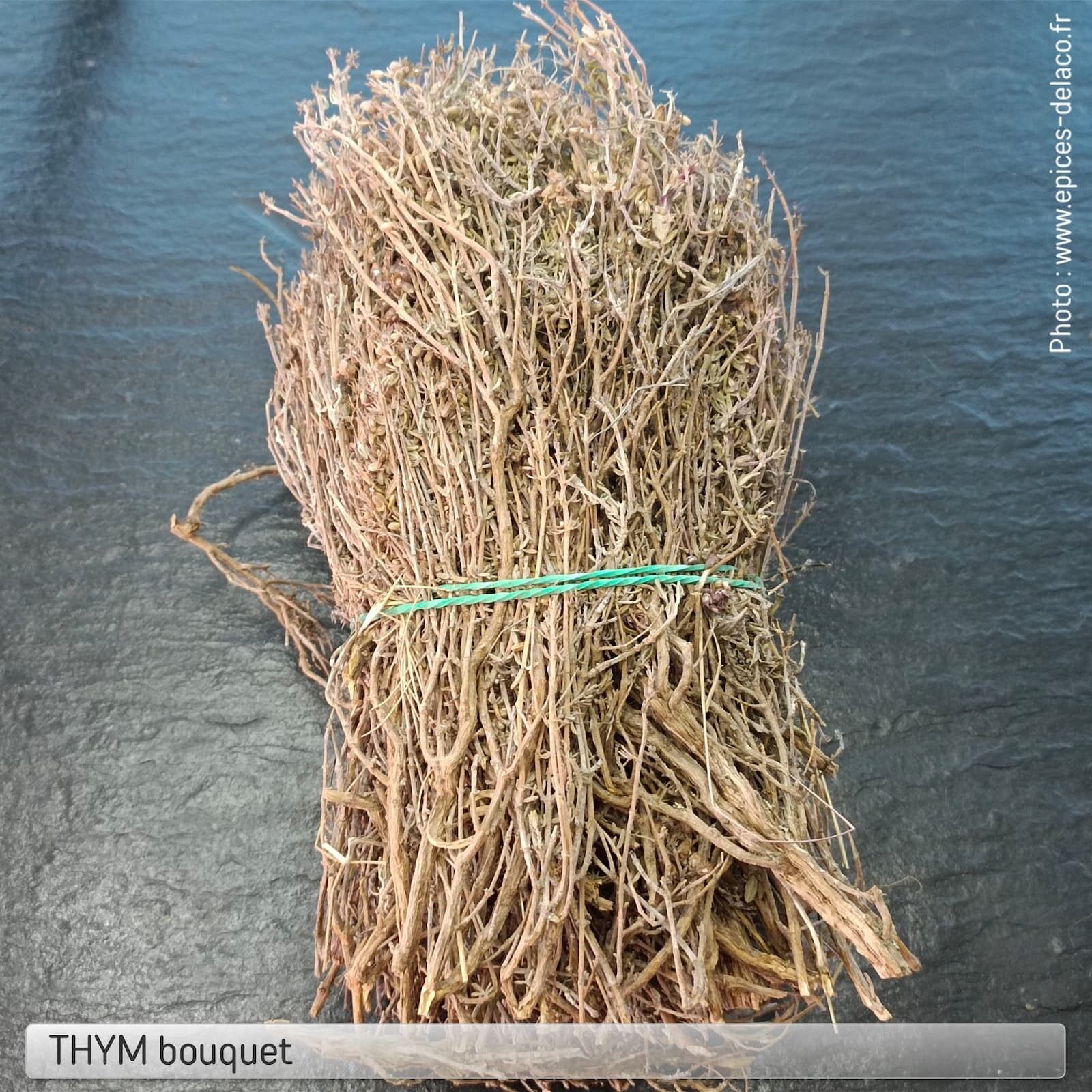 Ramo de tomillo - condimento, hierba, especia y aromatizante