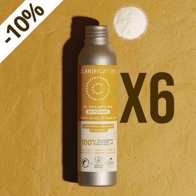 Zertifiziertes Bio-X6-Feuchtigkeitspulver-Shampoo – 10 %