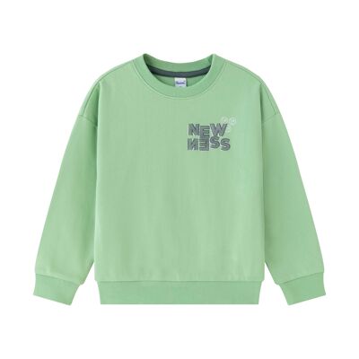 Sweatshirt für kleine Jungen mit Aufdruck