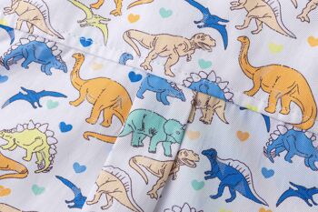 Chemise bébé avec dinosaures 5