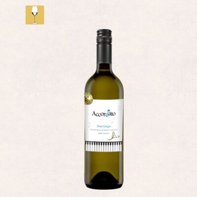 Accordato – Pinot Grigio delle Venezie doc - Vino Bianco