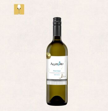 Accordé – Pinot Grigio delle Venezie doc - Vin blanc