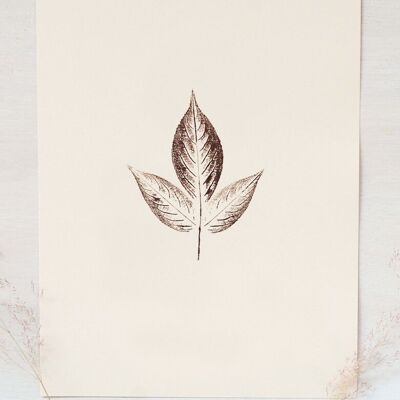 “Elder” leaf poster • Empreintes collection • A4