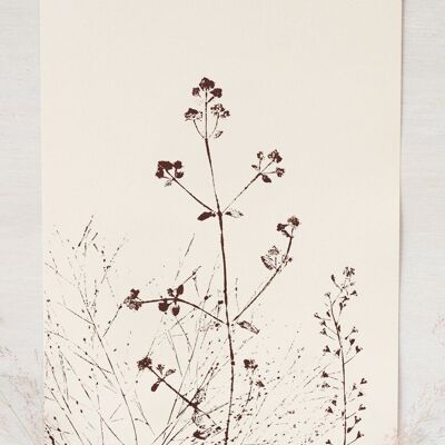 Affiche fleurs "Prairie d'été" • collection Empreintes • A4