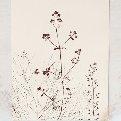 Blumenplakat „Sommerwiese“ • Empreintes-Kollektion • A4