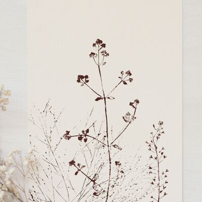 Poster floreale “Prato estivo” • Collezione Empreintes • A4