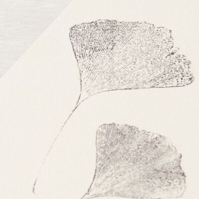 Affiche feuilles "Ginkgo" • collection Empreintes • A4