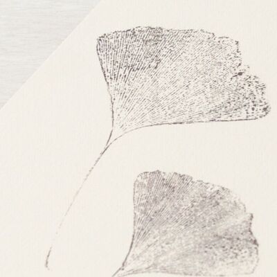 „Ginkgo“-Blattplakat • Empreintes-Kollektion • A4