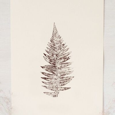 “Fern” plant poster • Empreintes collection • A4