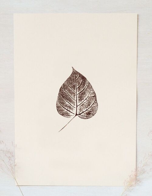 Affiche feuille "Catalpa" • collection Empreintes • A4