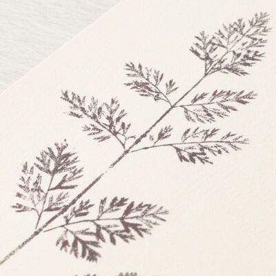 “Wild Carrot” foliage poster • Empreintes collection • A4