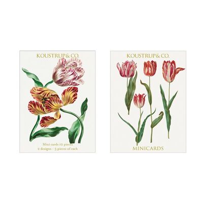 Minicartes Printemps - Tulipe