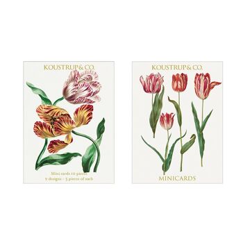 Minicartes Printemps - Tulipe