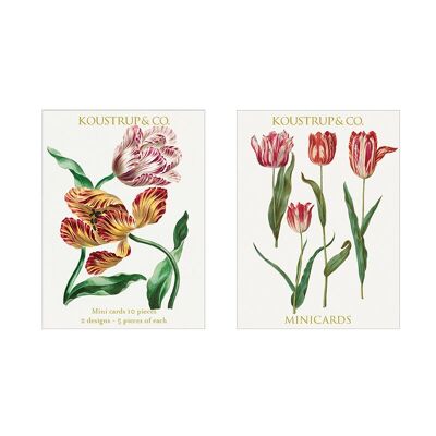 Minikarten Frühling - Tulpe
