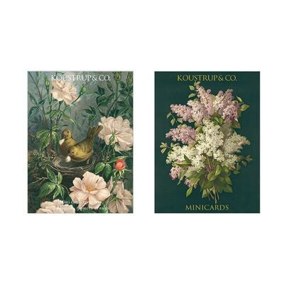 Minicard Primavera - Fiore lilla