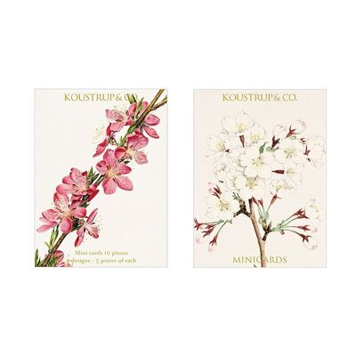 Minikarten Frühling - Blüte