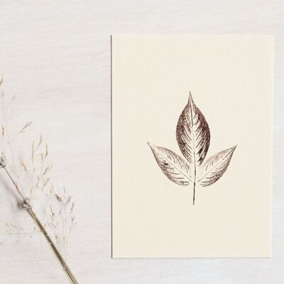 “Elderflower” leaf card • Empreintes collection • A6 (envelope included)
