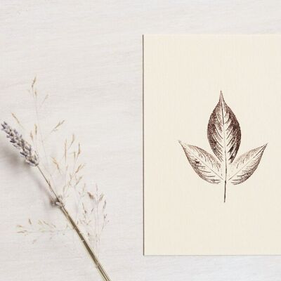 “Elderflower” leaf card • Empreintes collection • A6 (envelope included)