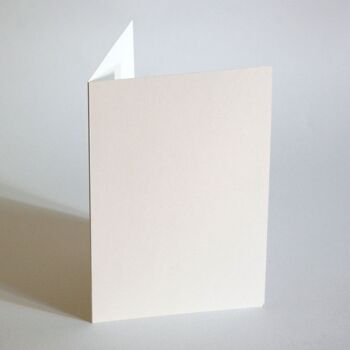 100 cartes pliantes blanches recyclées 16,5 x 11,5 cm