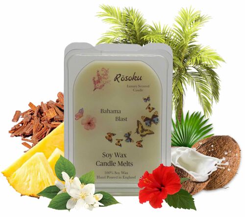 Bahama Blast Seasonal Wax Melts Hearts