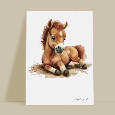 Horse animal baby room wall decoration - Watercolor theme