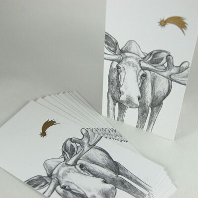 10 recycled Christmas postcards: Moose with a gold star