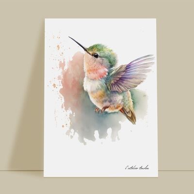 Kolibri-Tier-Wanddekoration für Babyzimmer – Aquarell-Thema