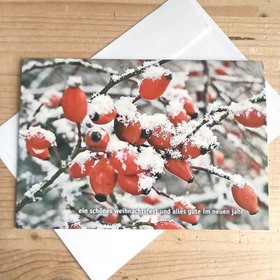 10 cartoline di Natale con busta: ramo di rosa canina nella neve