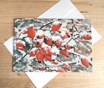 10 cartes de Noël avec enveloppes : branche d'églantier dans la neige 1