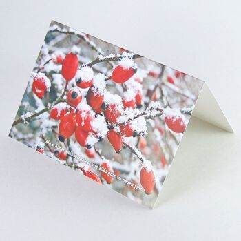 10 cartes de Noël avec enveloppes : branche d'églantier dans la neige 2