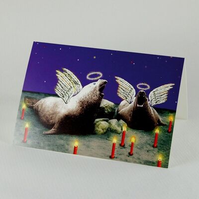 10 cartoline di Natale con busta: Silent Night (Elefanti marini)