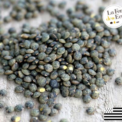 Bulk green lentils