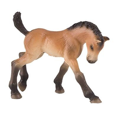 Figurine animaux Cheval Poulain de Trakehner