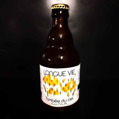 TOMBEE DU CIEL / Kveik ale / Bière Blonde Bio