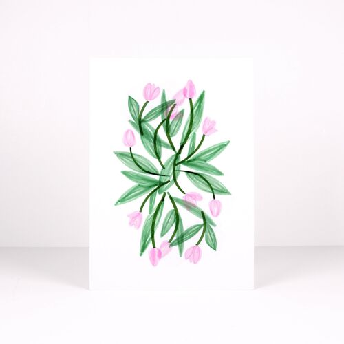 Affiche Tulipes Roses - Format A3