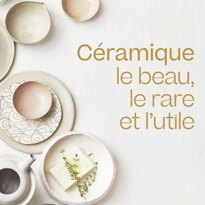 BOOK - Ceramics: the beautiful, the rare and the useful