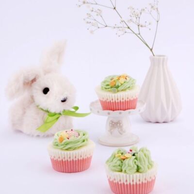 Bath Cupcake Spring Dance (Eastern, Easter)