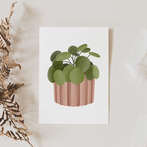 Postkarte Pilea Pflanze - Tropische Zimmerpflanze Grußkarte Topfpflanze