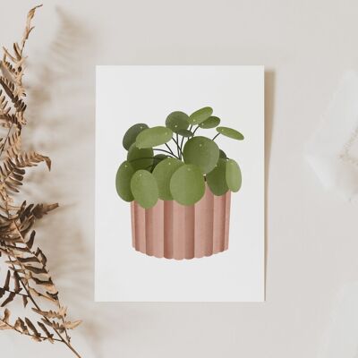 Cartolina Pianta Pilea - Biglietto d'auguri per pianta d'appartamento tropicale Pianta in vaso