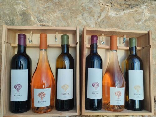 Coffret Spring Wine