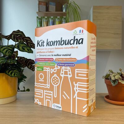 Kit completo di kombucha