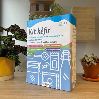 Kit completo di kefir