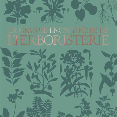 LIBRO - La grande enciclopedia dell'erboristeria