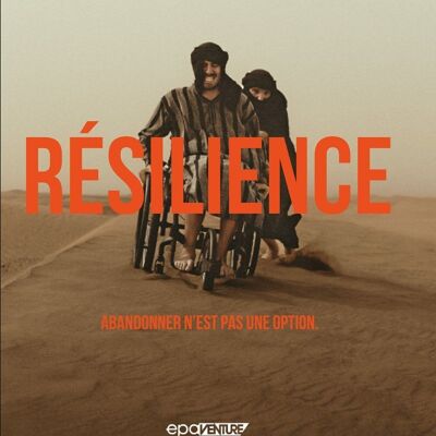 BOOK - Resilience - Loury Lag, Martin Petit