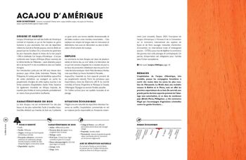 LIVRE - La Bible du bois - Nouvelle édition - Marcel Guedj, Michel Beauvais 4