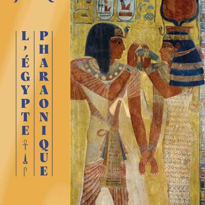 HERMOSO LIBRO - Egipto faraónico - Un reino de luz