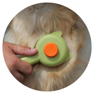 Brosse à fourrure pour soins des animaux de compagnie